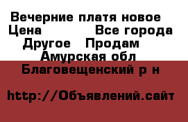 Вечерние платя новое › Цена ­ 3 000 - Все города Другое » Продам   . Амурская обл.,Благовещенский р-н